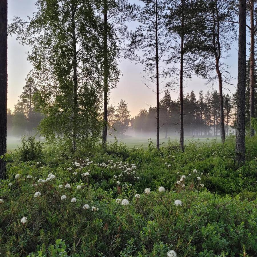 Siikavilla, Siikajoki Bagian luar foto
