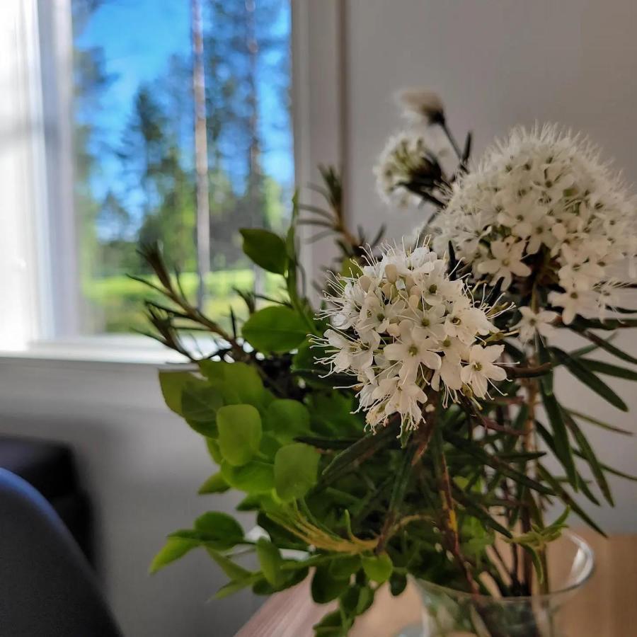 Siikavilla, Siikajoki Bagian luar foto